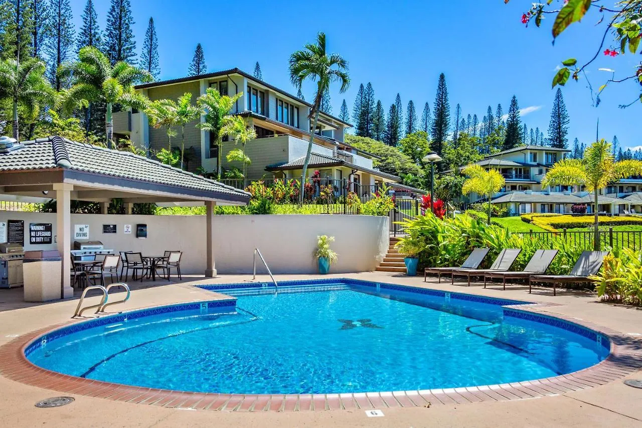 Kapalua Golf Villa 12V 1 カハナ 別荘